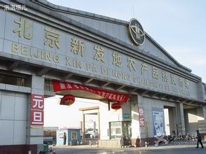 农产品批发市场大全-第1张图片-货源库