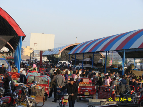农产品批发市场大全-第6张图片-货源库