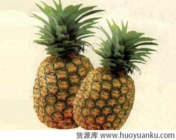 水果的美容功效-第4张图片-货源库 水果的美容功效-第4张图片-货源库